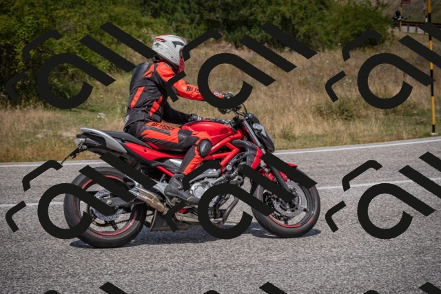 20250802125301-_5006865_am_