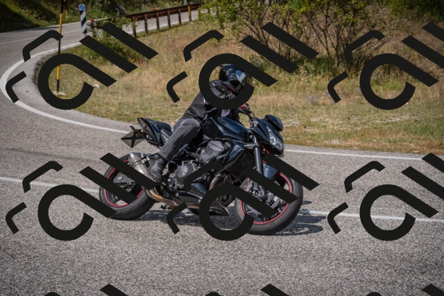 20250802125435-_5006898_am_