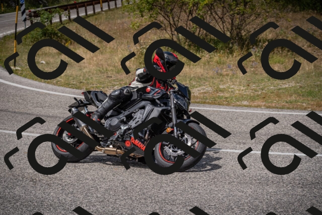 20250802125952-_5007009_am_