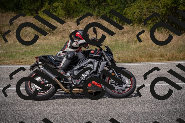 20250802125952-_5007010_am_