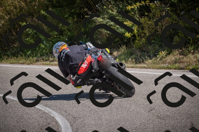 20250803110310-_5007889_am_