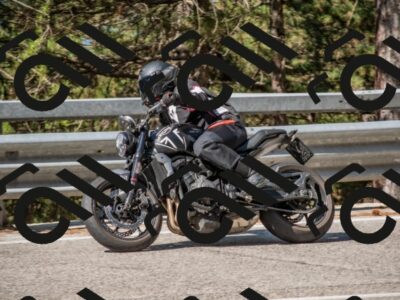 202508021008-DSC_0180_c4_