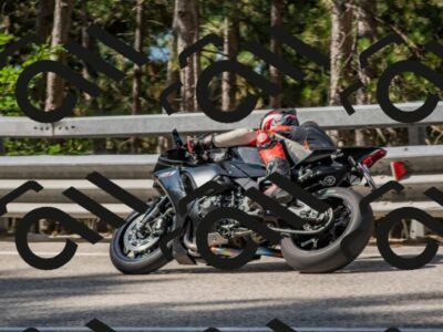 202508021015-DSC_0225_c4_