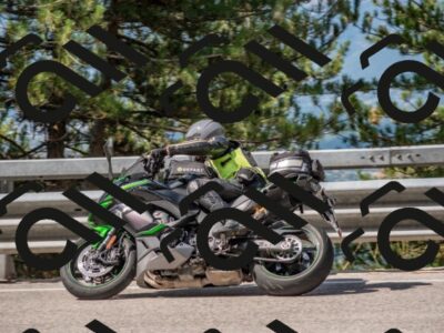 202508021019-DSC_0285_c4_