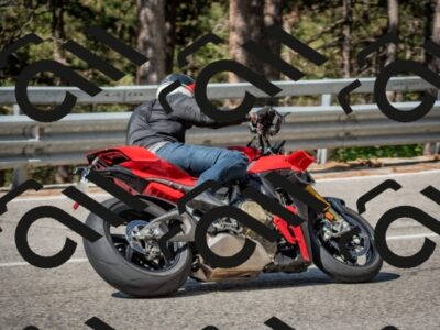 202508021029-DSC_0350_c4_