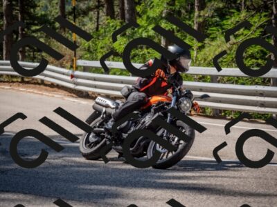 202508021033-DSC_0378_c4_