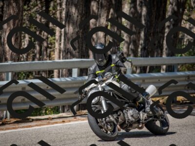 202508021034-DSC_0385_c4_