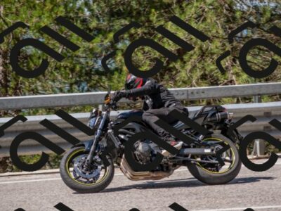 202508021058-DSC_0605_c4_