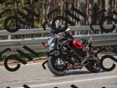 202508021111-DSC_0780_c4_