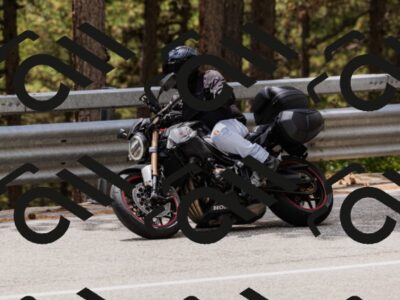 202508021355-_04A8008_c3_