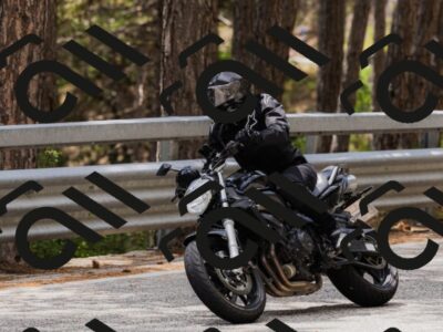 202508021402-_04A8097_c3_