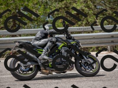 202508021205-DSC_1650_c4_