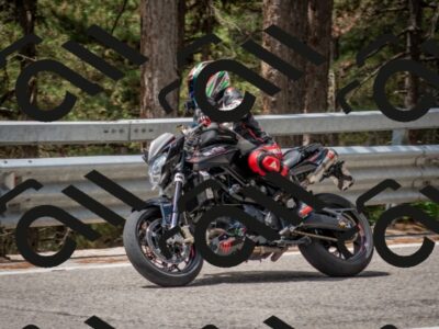 202508021207-DSC_1685_c4_