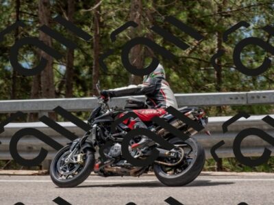 202508021207-DSC_1687_c4_