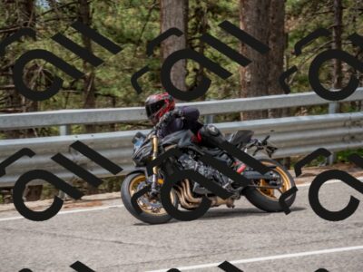 202508021211-DSC_1731_c4_