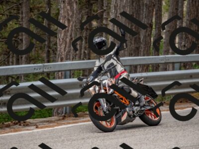 202508021216-DSC_1812_c4_