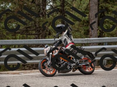 202508021216-DSC_1813_c4_