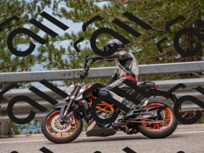 202508021216-DSC_1814_c4_