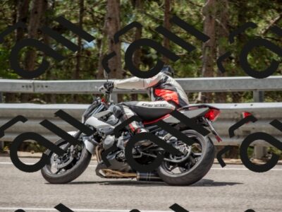 202508021225-DSC_1937_c4_