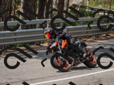 202508021229-DSC_2017_c4_