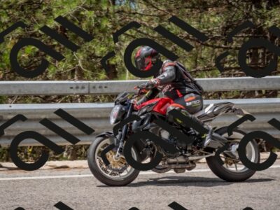 202508021229-DSC_2031_c4_