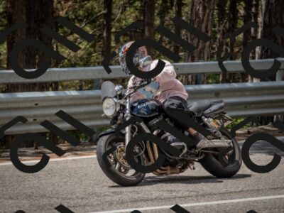 202508021231-DSC_2047_c4_