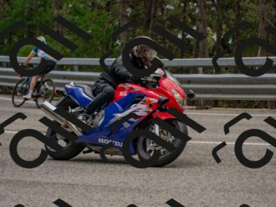 202508021233-DSC_2094_c4_