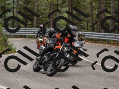 202508021239-DSC_2162_c4_