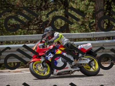 202508021249-DSC_2333_c4_