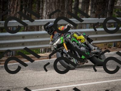 202508021249-DSC_2342_c4_