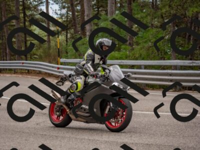 202508021252-DSC_2380_c4_