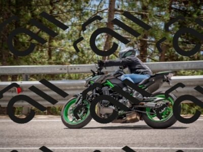 202508021254-DSC_2406_c4_