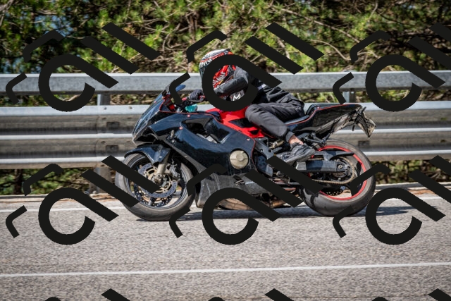 202508031009-DSC_2575_c2