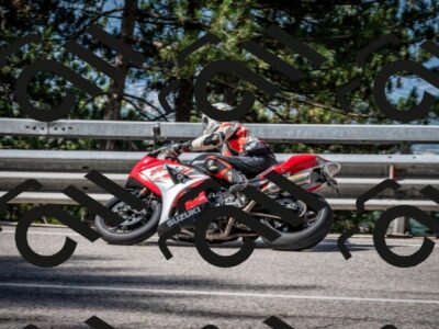 202508031013-DSC_2583_c2