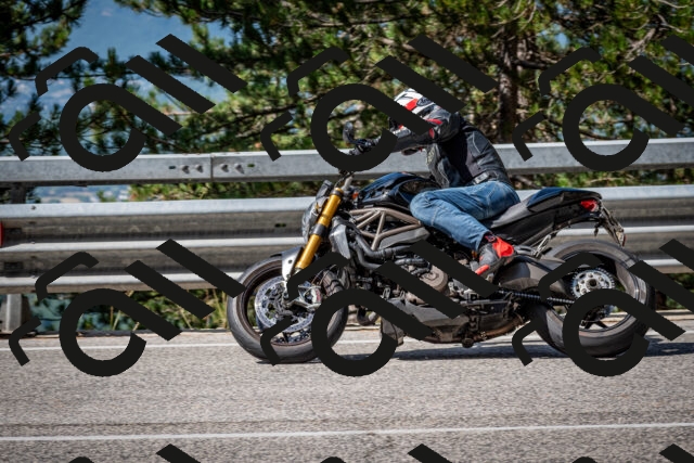 202508031013-DSC_2585-2_c2