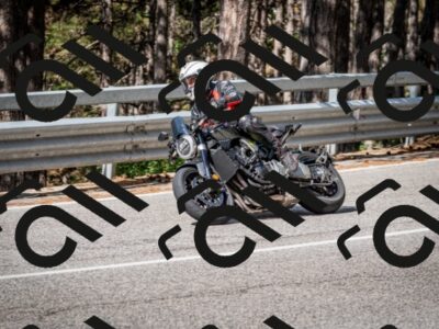 202508031013-DSC_2590_c2