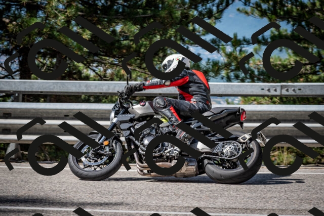 202508031013-DSC_2592_c2