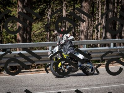 202508031013-DSC_2595_c2