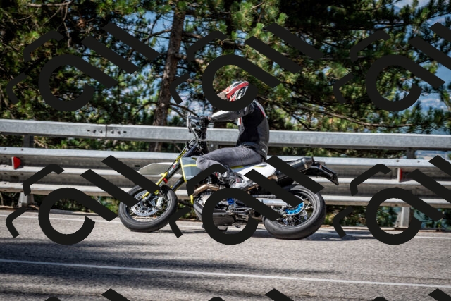 202508031013-DSC_2597_c2