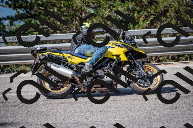 202508031018-DSC_2611-2_c2