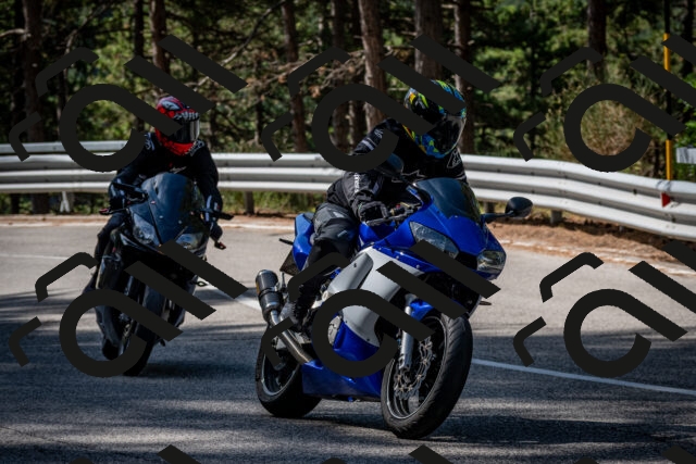 202508031018-DSC_2612_c2