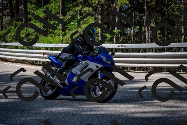 202508031018-DSC_2613_c2