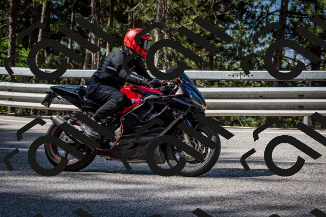 202508031018-DSC_2614_c2