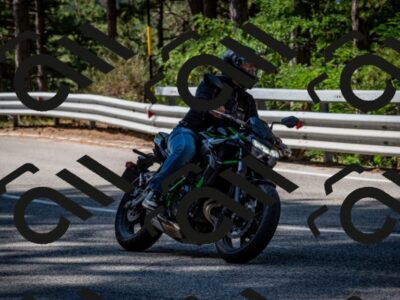 202508031022-DSC_2627_c2