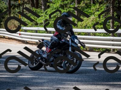 202508031023-DSC_2650_c2