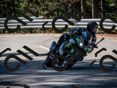 202508031028-DSC_2701_c2