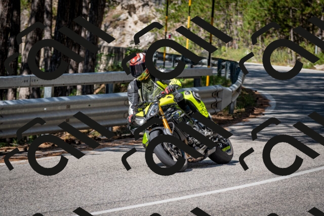 202508031030-DSC_2718_c2