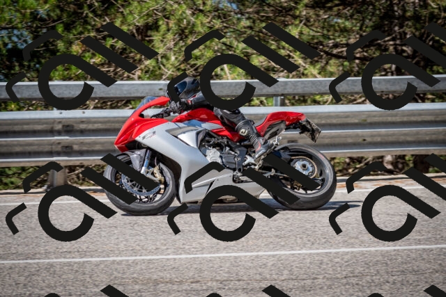 202508031031-DSC_2721-2_c2