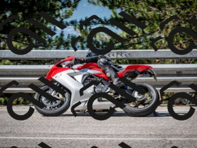 202508031031-DSC_2722-2_c2