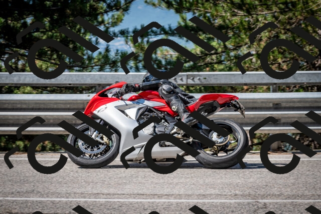 202508031031-DSC_2722-2_c2